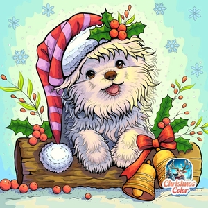 Fundraising Page: Nancy Florian